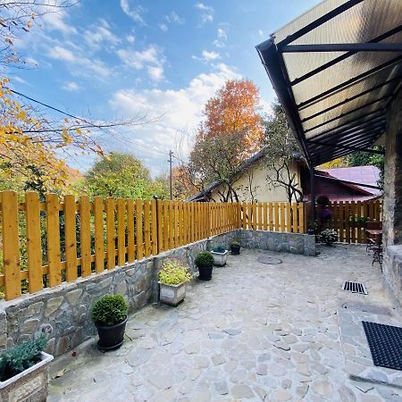 Apartment Carol Private Yard With Barbeque And Parking Sinaia Ngoại thất bức ảnh