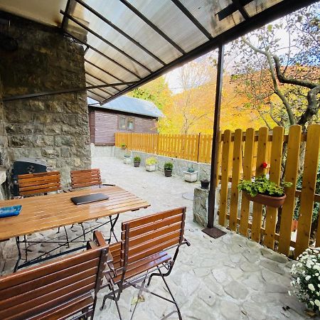 Apartment Carol Private Yard With Barbeque And Parking Sinaia Ngoại thất bức ảnh