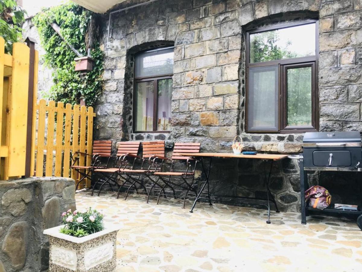 Apartment Carol Private Yard With Barbeque And Parking Sinaia Ngoại thất bức ảnh