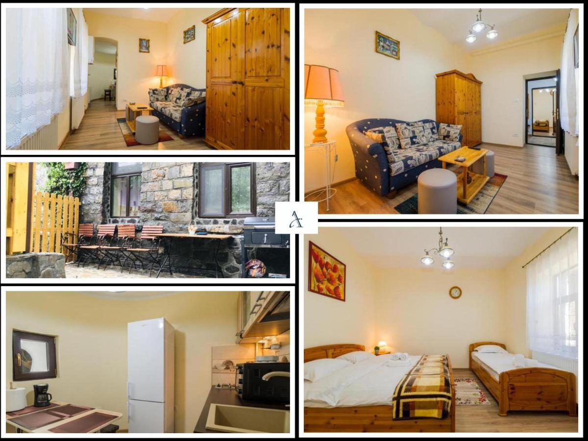 Apartment Carol Private Yard With Barbeque And Parking Sinaia Ngoại thất bức ảnh
