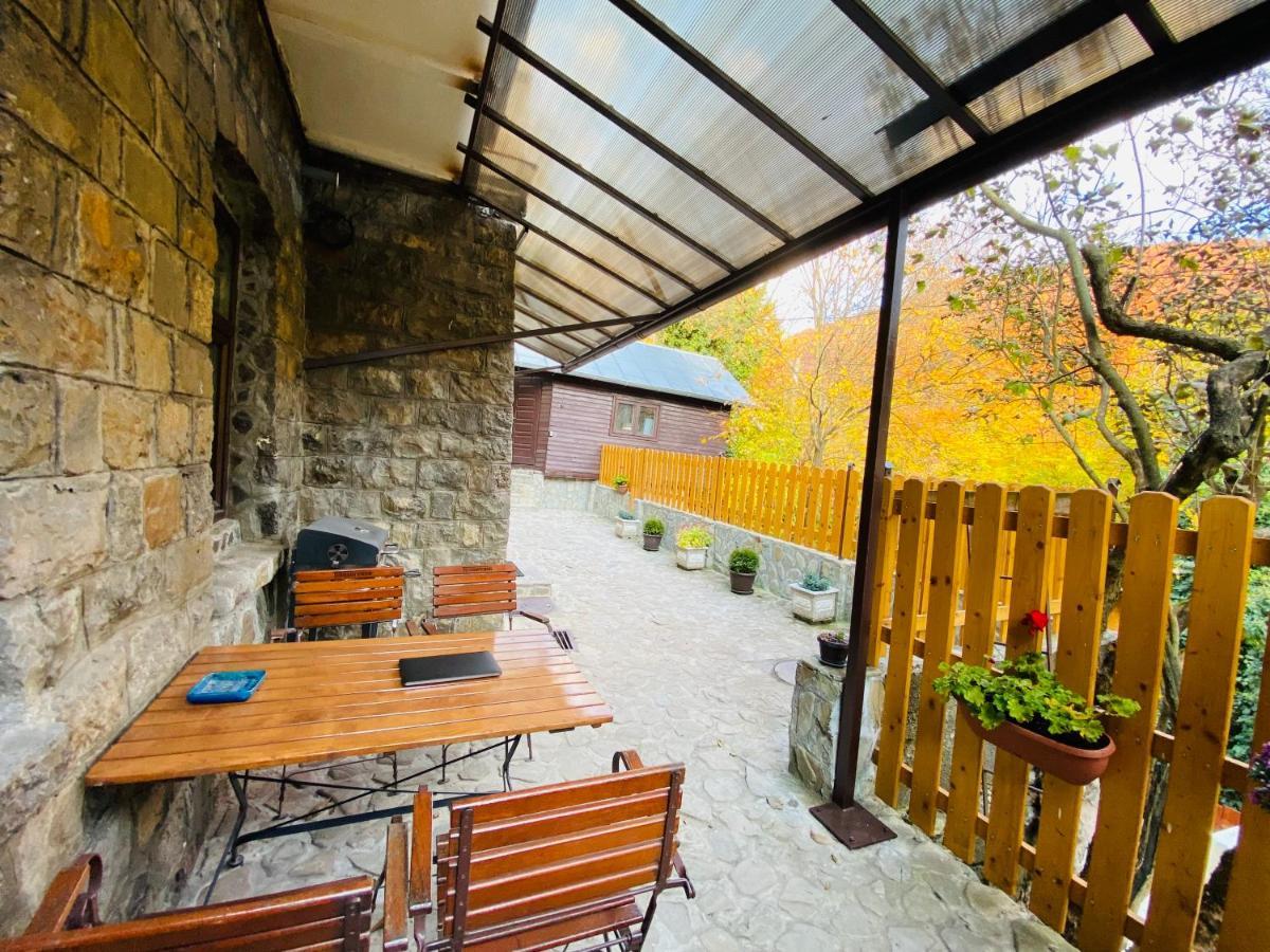Apartment Carol Private Yard With Barbeque And Parking Sinaia Ngoại thất bức ảnh