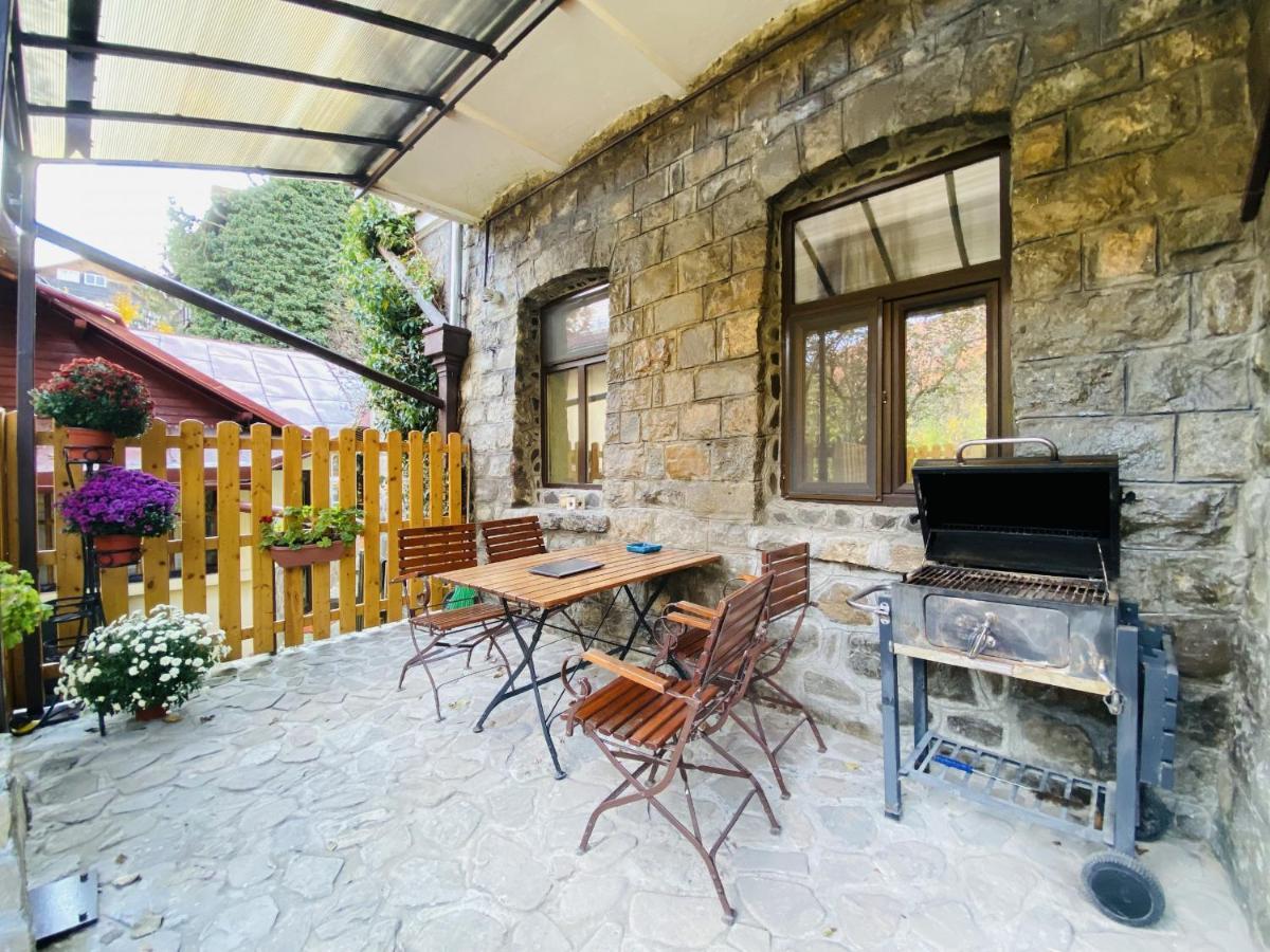 Apartment Carol Private Yard With Barbeque And Parking Sinaia Ngoại thất bức ảnh