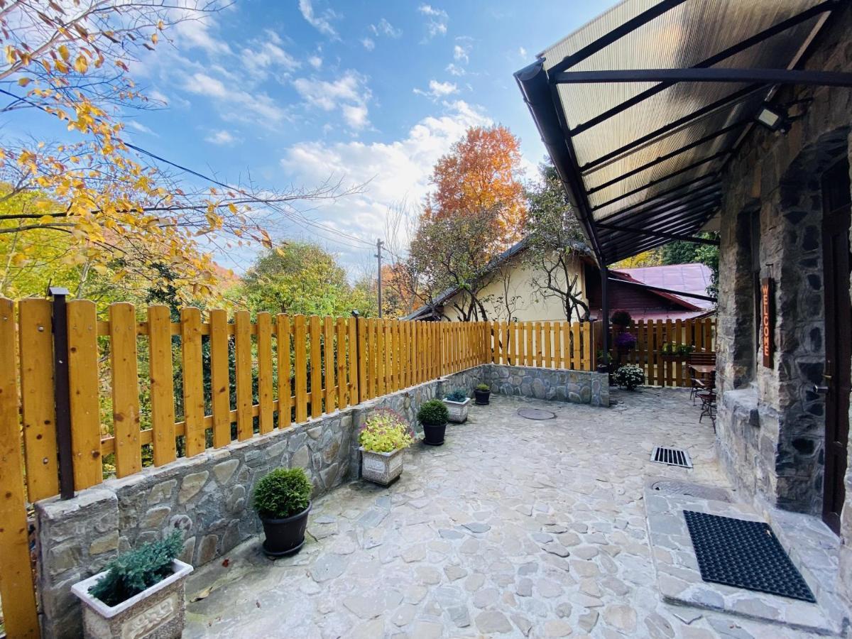 Apartment Carol Private Yard With Barbeque And Parking Sinaia Ngoại thất bức ảnh