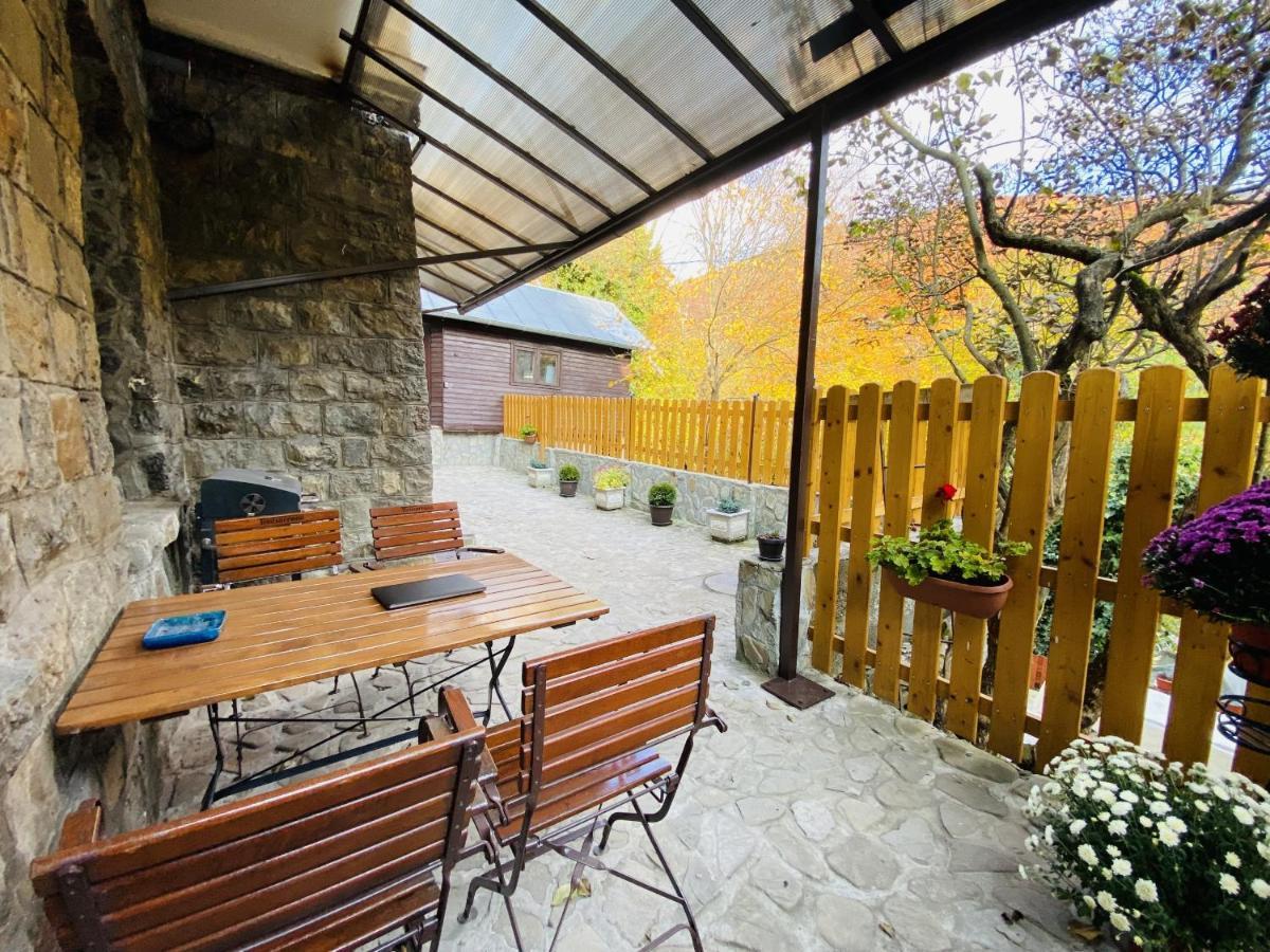 Apartment Carol Private Yard With Barbeque And Parking Sinaia Ngoại thất bức ảnh