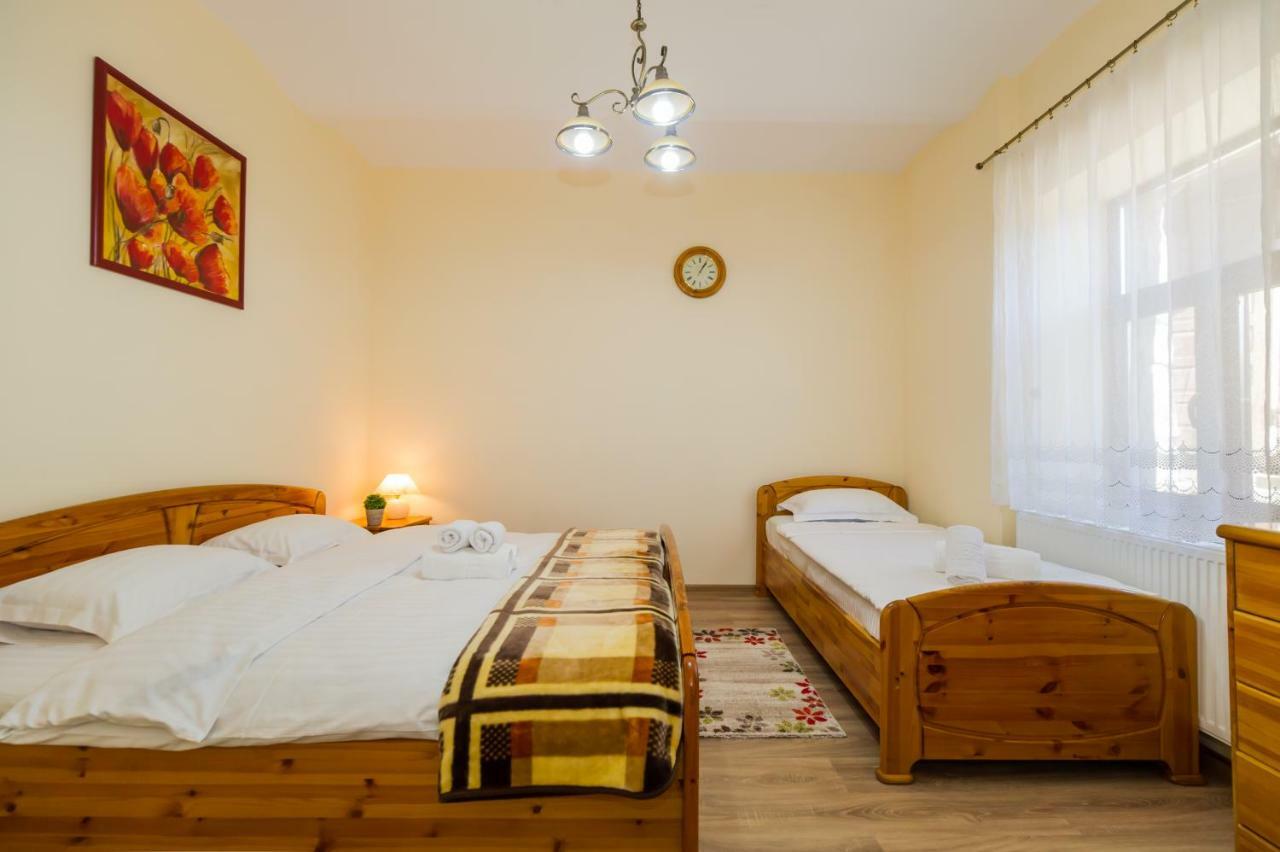 Apartment Carol Private Yard With Barbeque And Parking Sinaia Ngoại thất bức ảnh