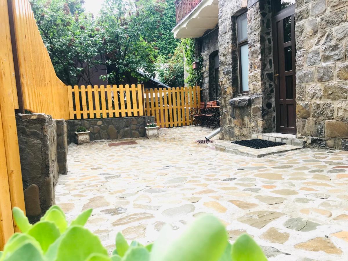 Apartment Carol Private Yard With Barbeque And Parking Sinaia Ngoại thất bức ảnh