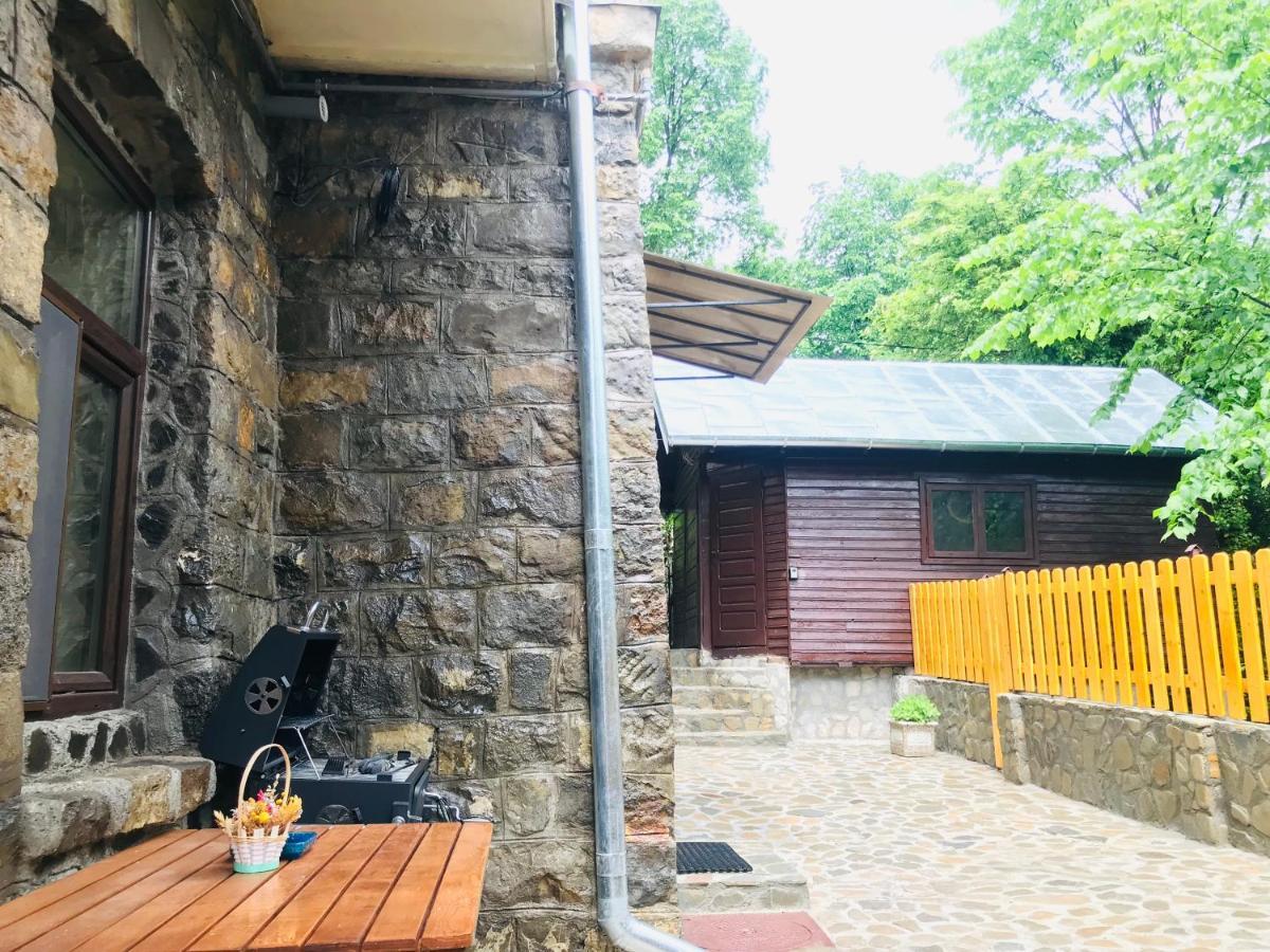 Apartment Carol Private Yard With Barbeque And Parking Sinaia Ngoại thất bức ảnh